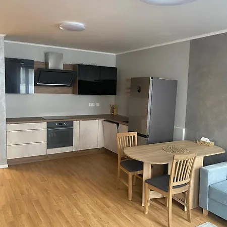 Apartment Next To The Presidential Palace Pressburg